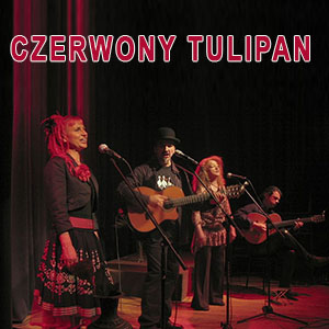 Czerwony Tulipan